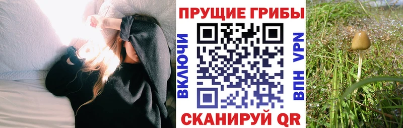 Псилоцибиновые грибы Magic Shrooms  Почеп 